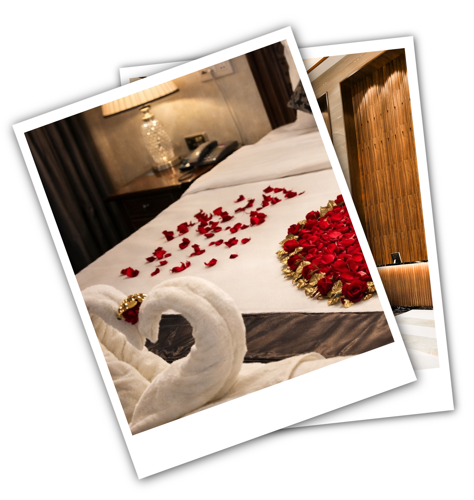 home imag 1-08-08-08